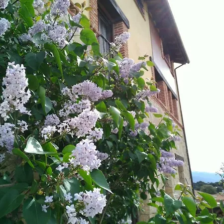 Lucia Holiday home *