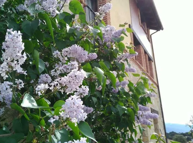 Lucia Casa de Férias *